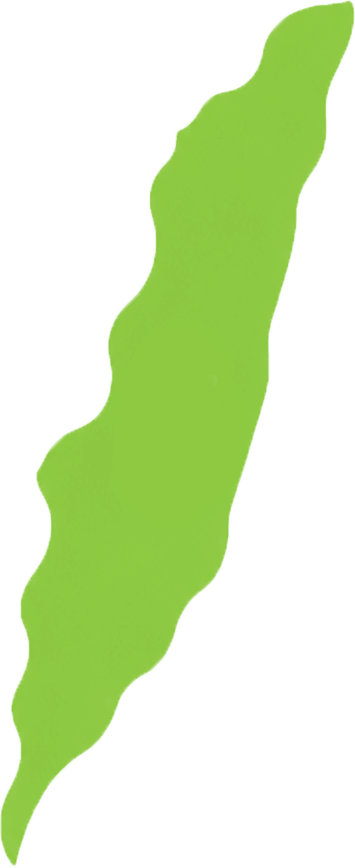 台灣東部