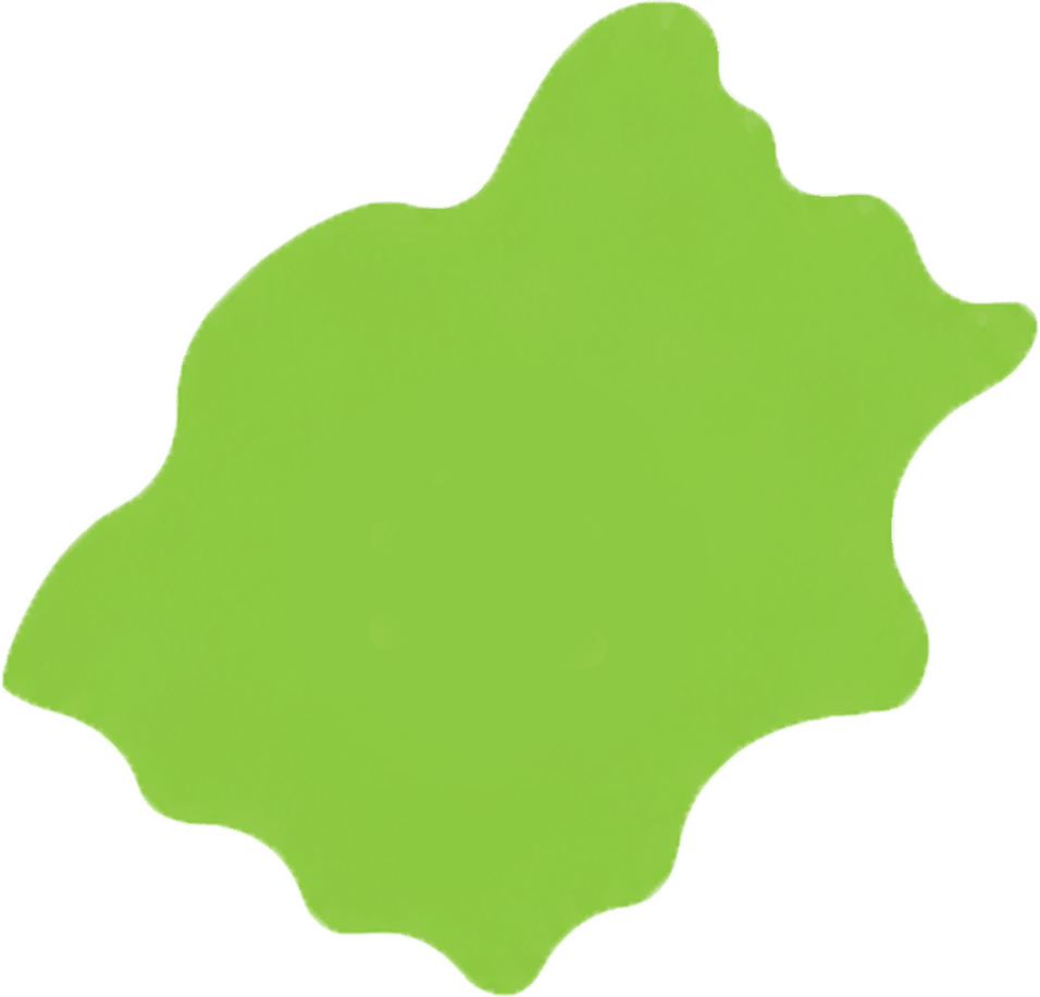 台灣北部